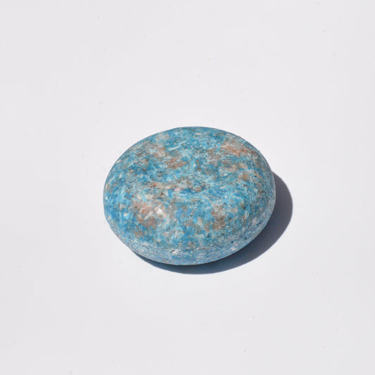 Solid Shampoo Bar / Blueberry + Coconut