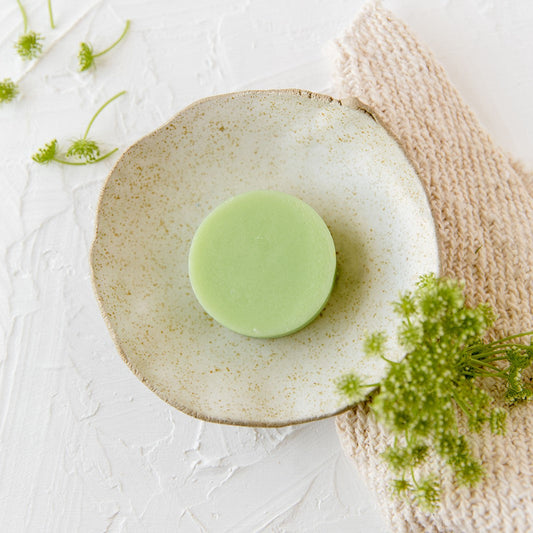 Solid Conditioner Bar / Melon
