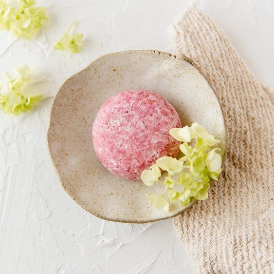 Solid Shampoo Bar / Vanilla + Coconut