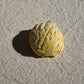 Bubble Scoop / Sunshine