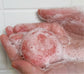 Solid Shampoo Bar / Vanilla + Coconut